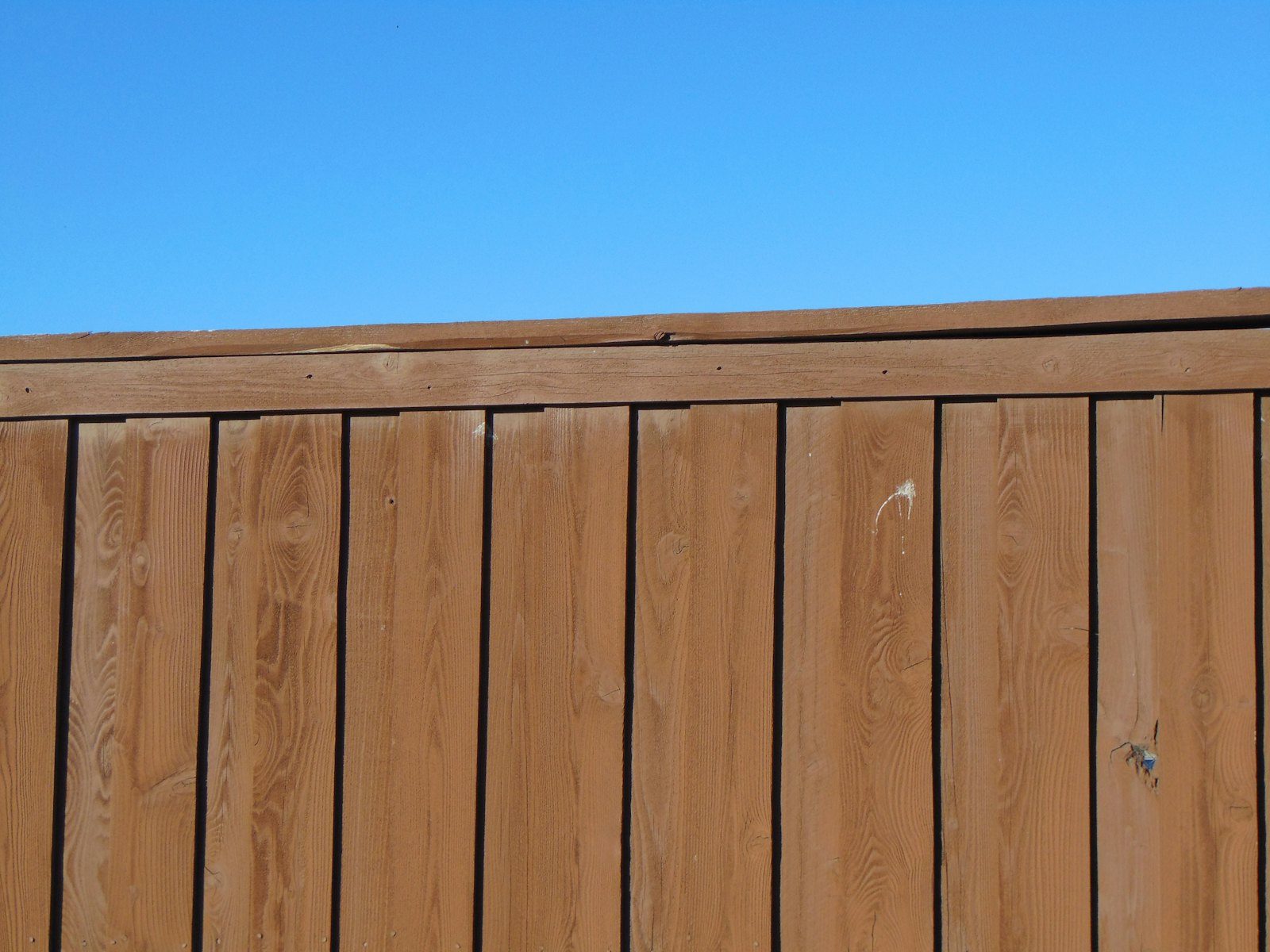 Professional garden fence installation