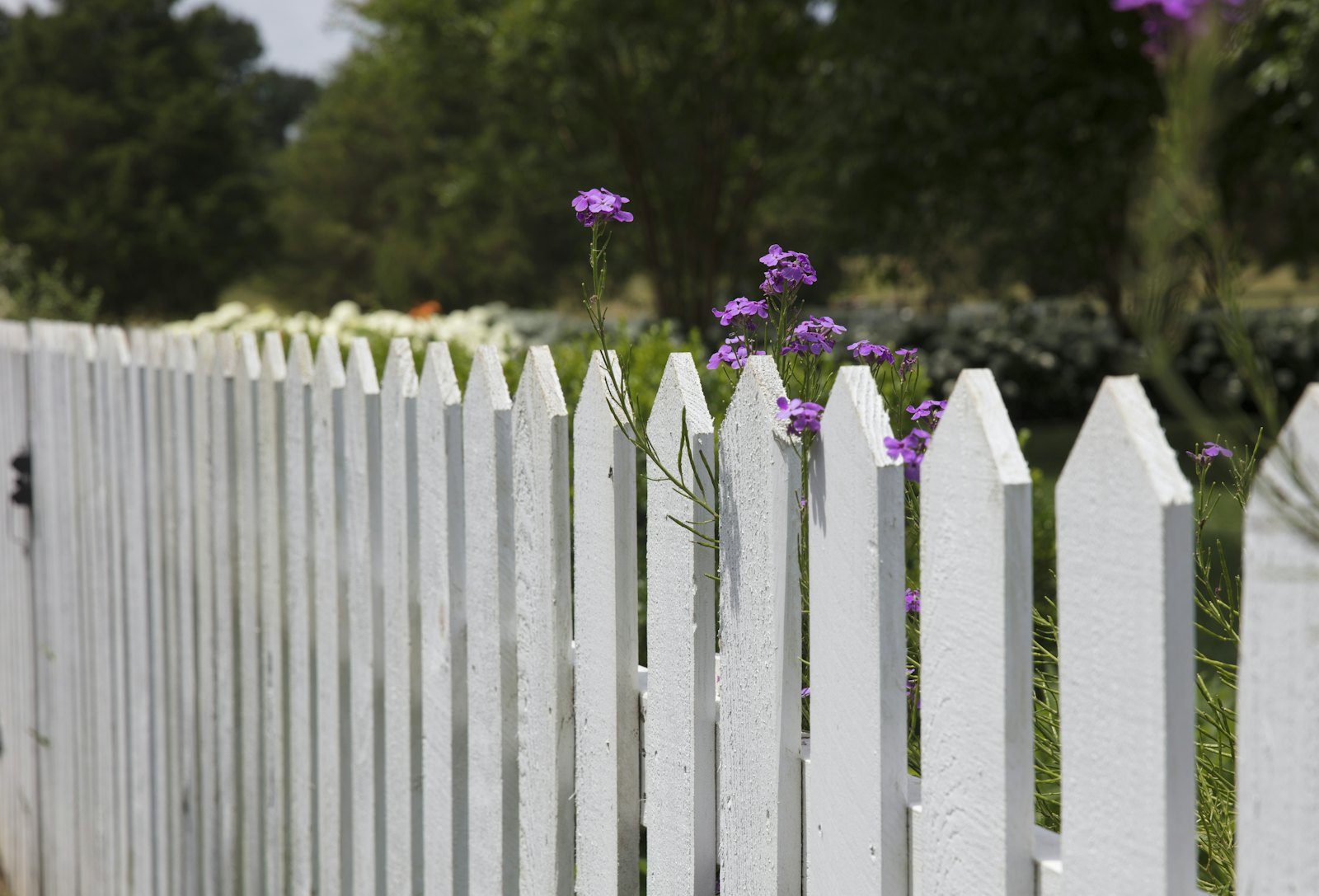 Fencing Work — photo 3