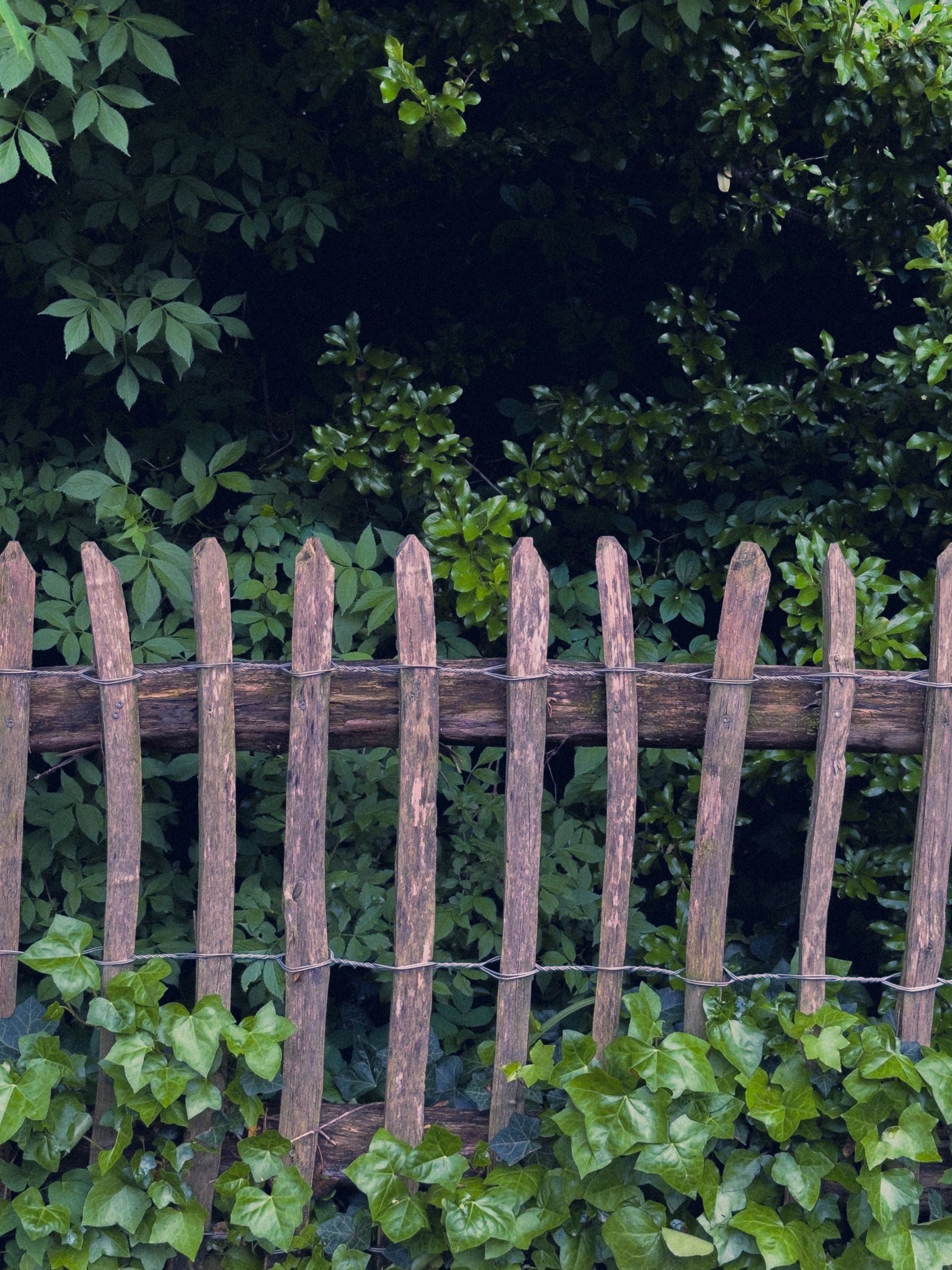 Fencing Work — photo 5