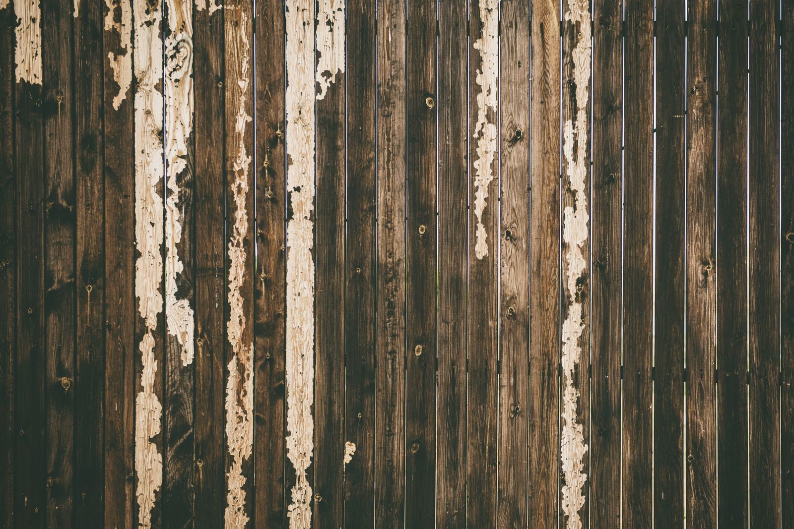 Fencing Work — photo 6