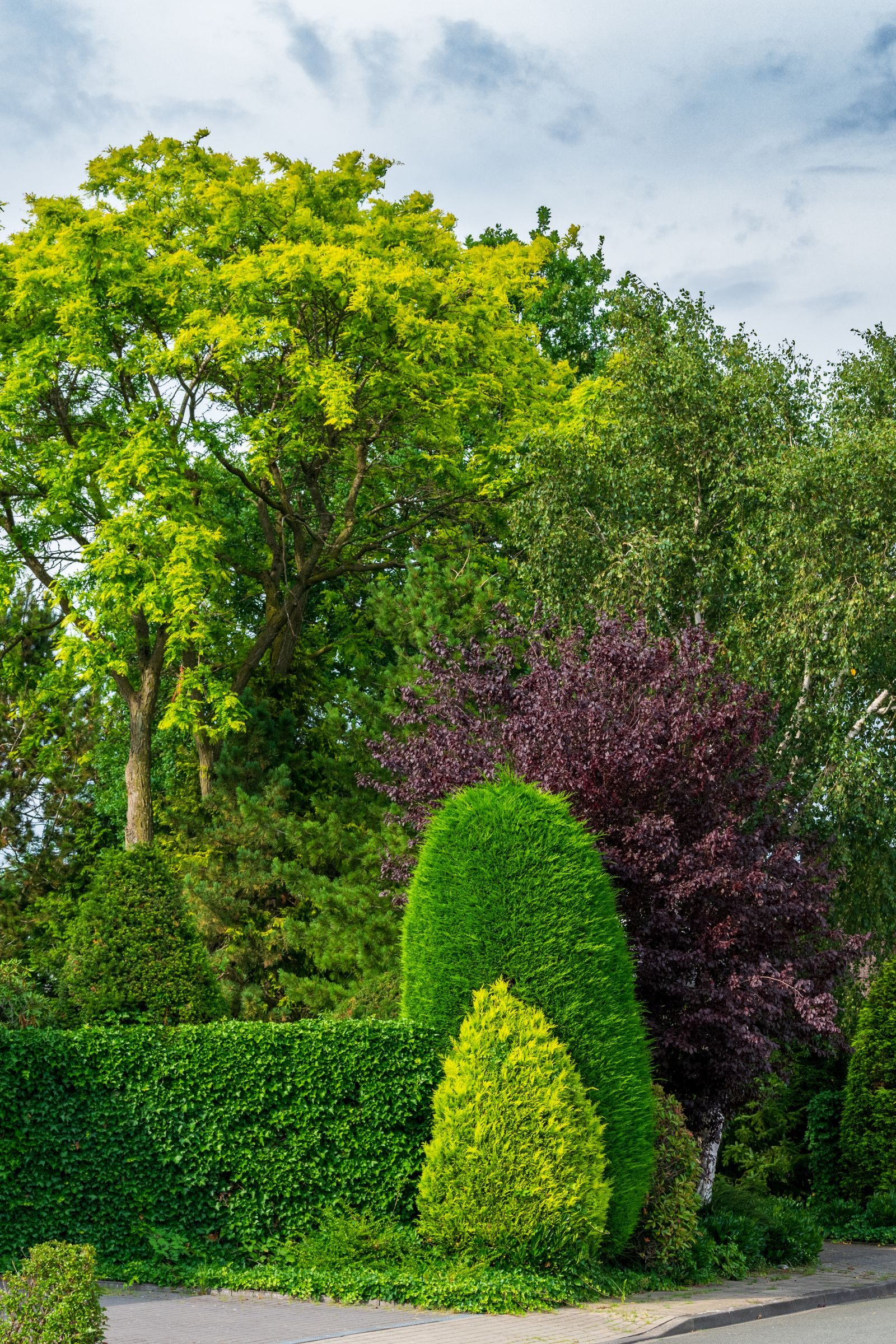 Specialist Trees