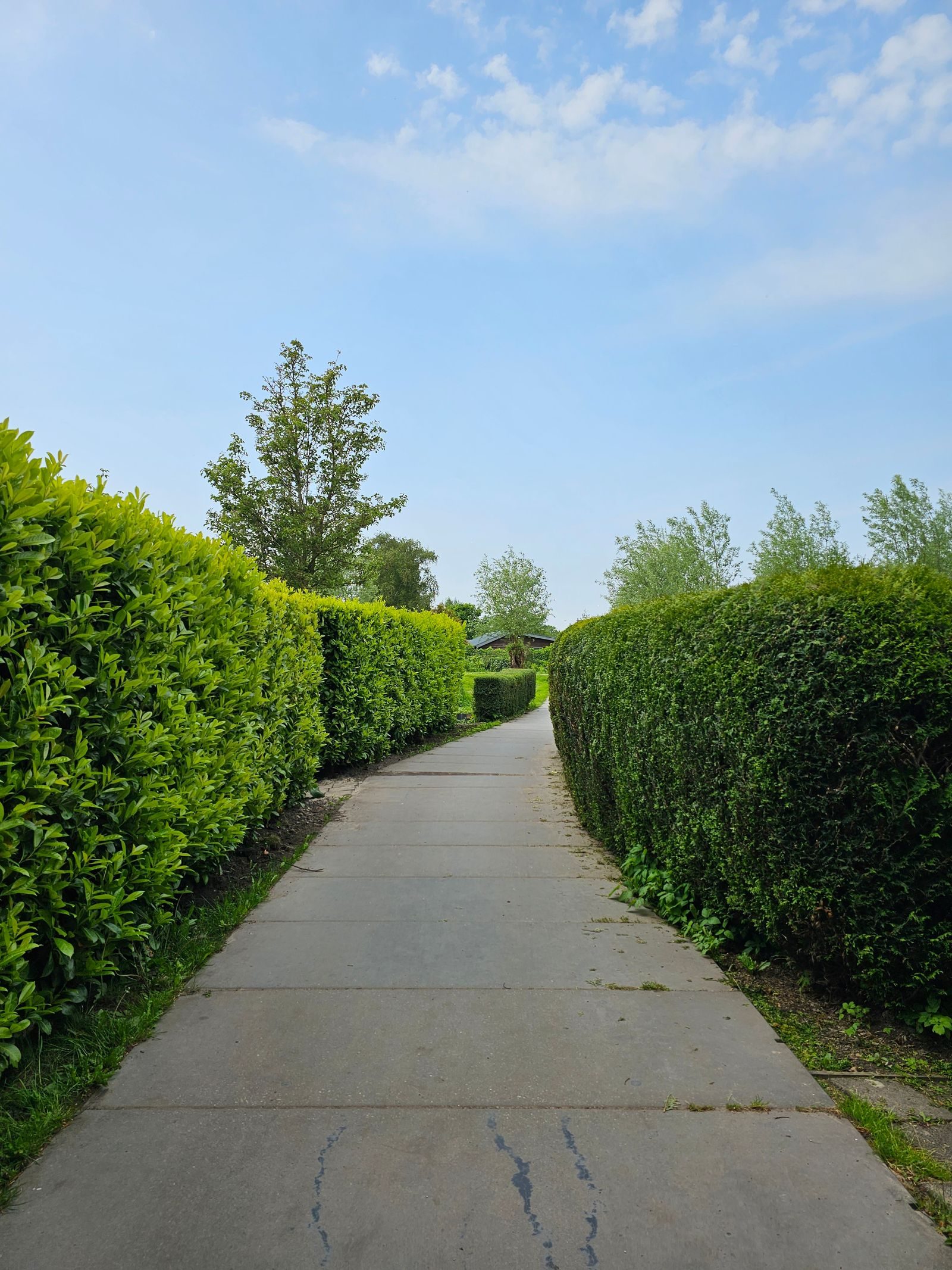 Specialist Trees — photo 4