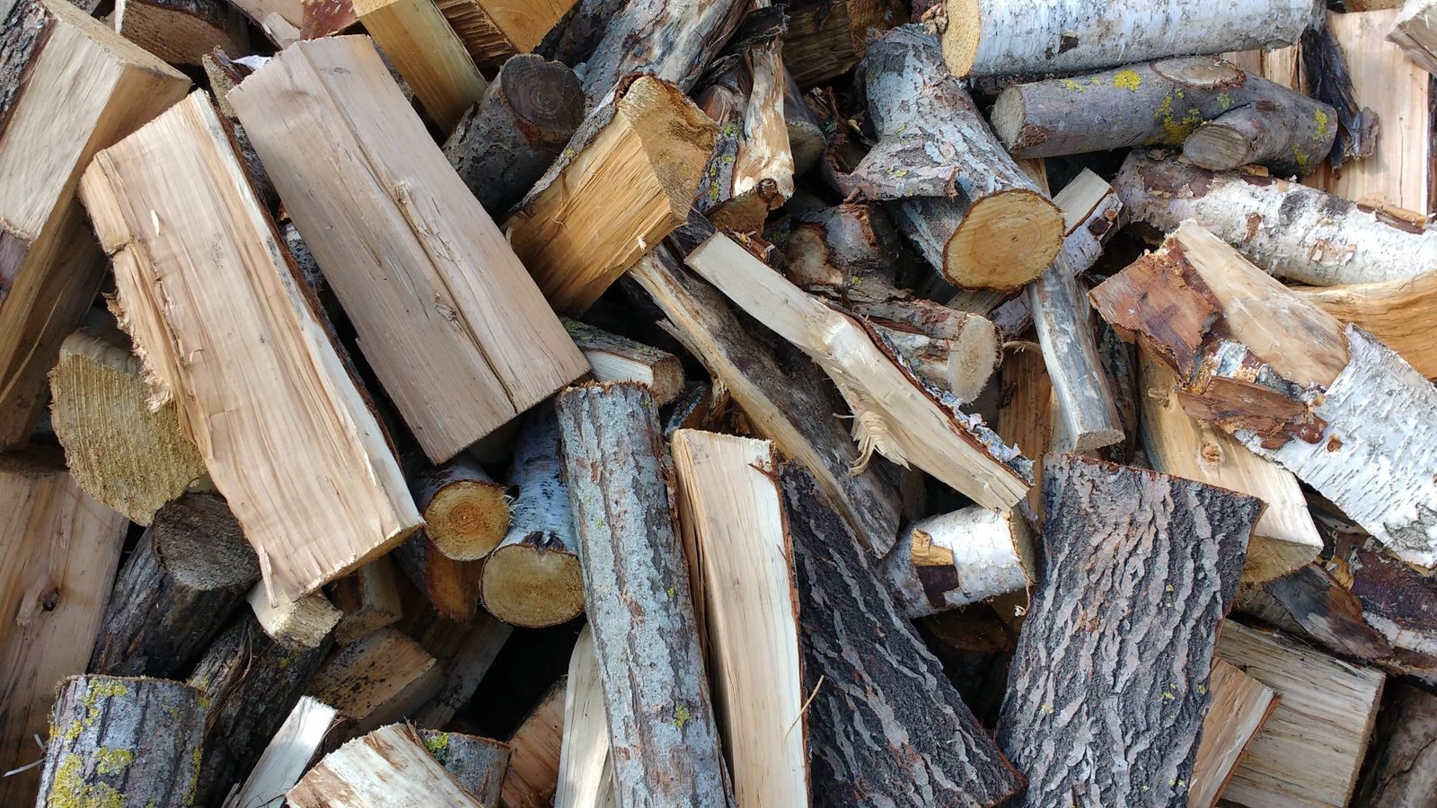 Tree Waste Recycling — photo 2