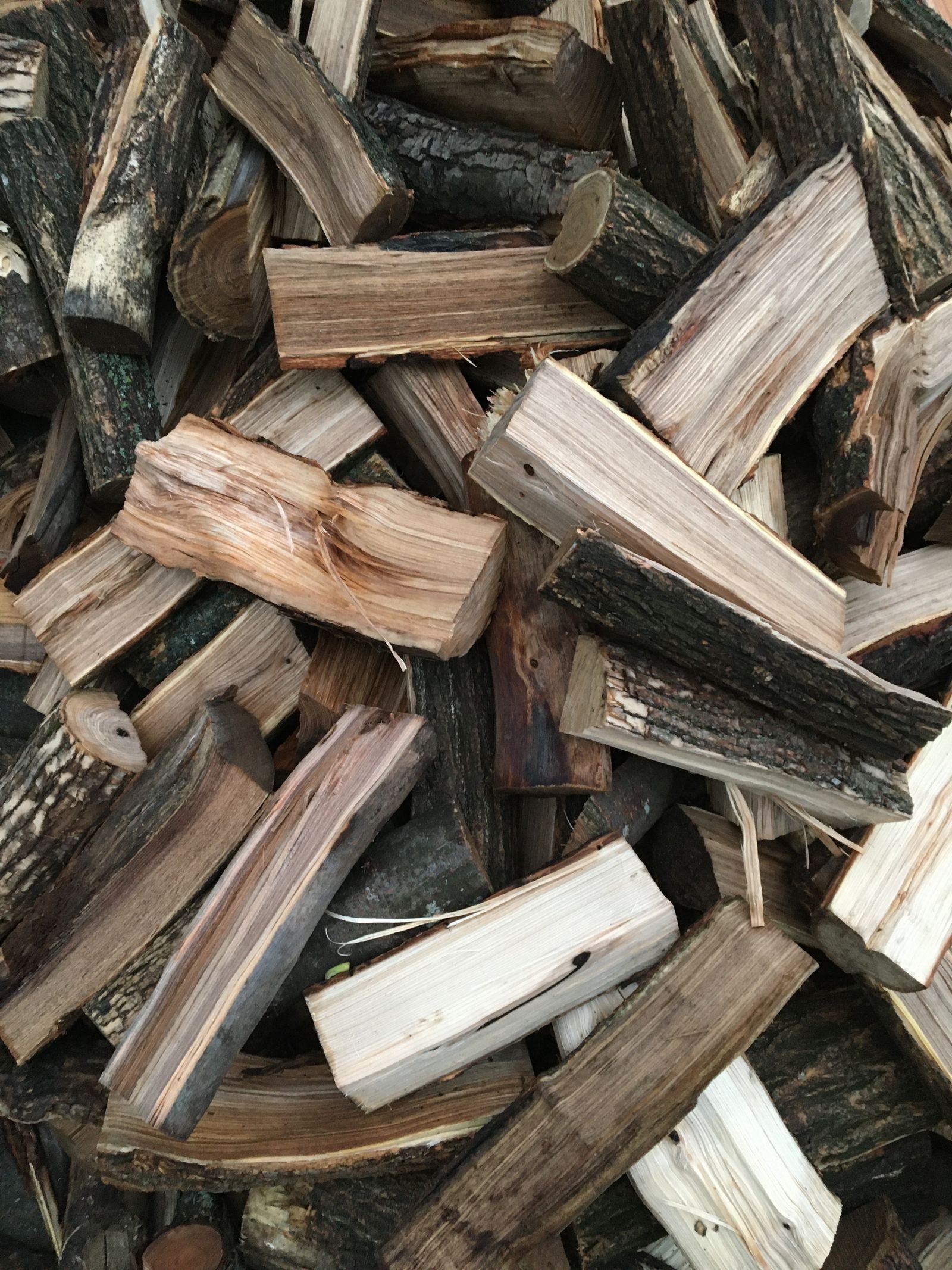 Tree Waste Recycling — photo 3