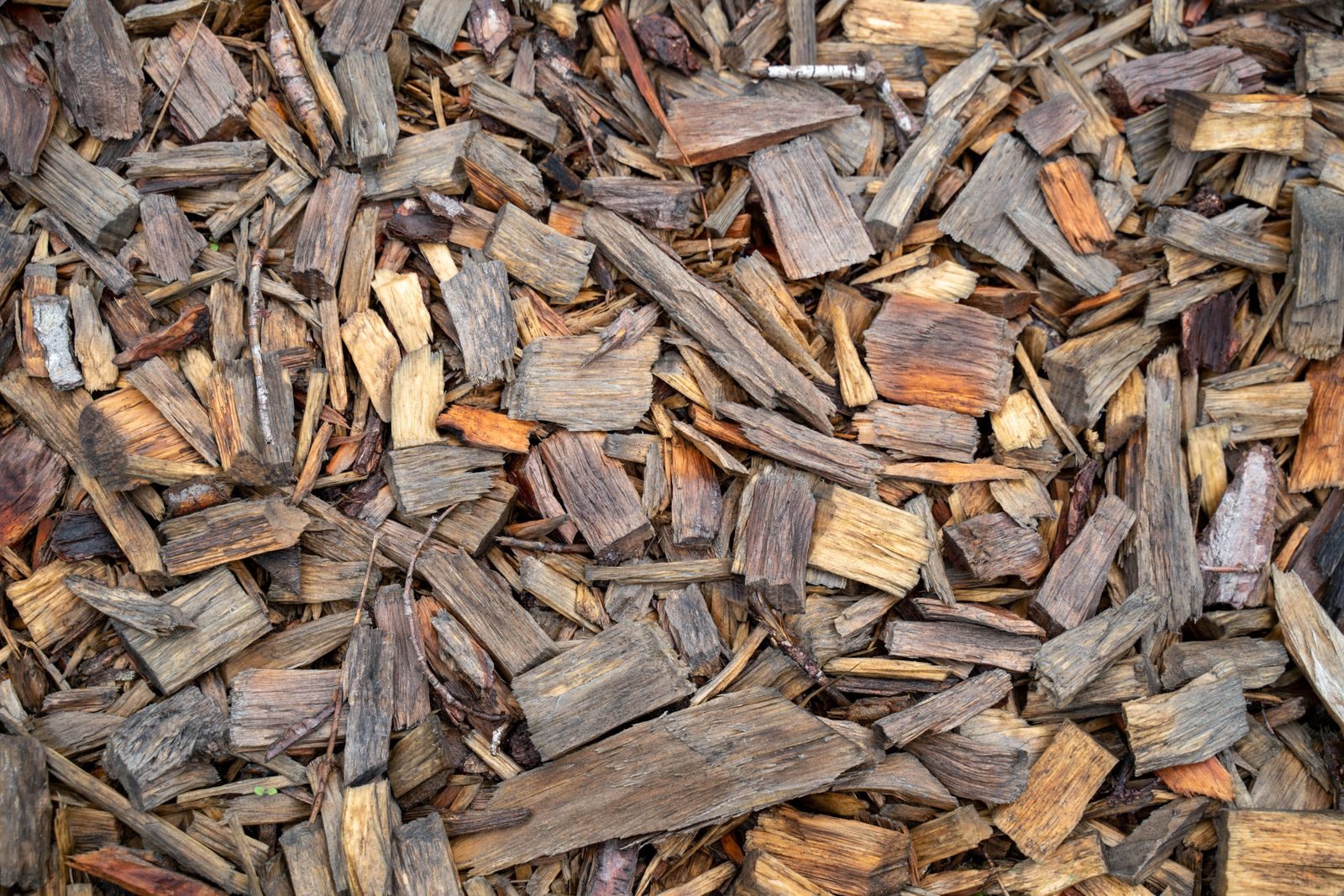 Tree Waste Recycling — photo 5