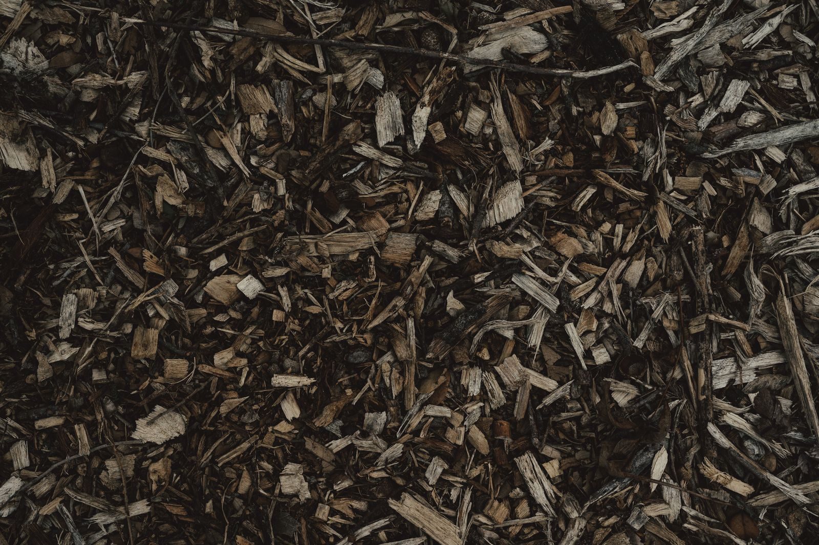Tree Waste Recycling — photo 6