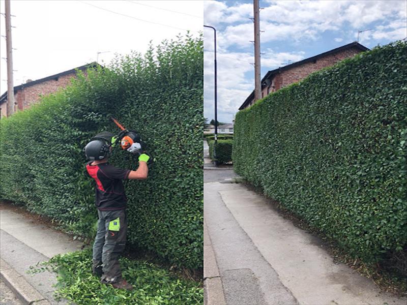 Garden clearance and maintenance work